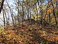 Naples-Russel Mound 8