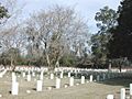 Natcemetery9326