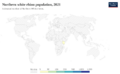 Northern white rhinos, World, 2021 (cropped)