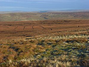 Ousby Fell - geograph.org.uk - 621092