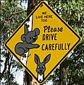 Panneaux koala kangourou
