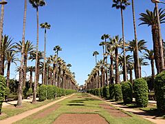 Parc de la Ligue Arabe Avenue