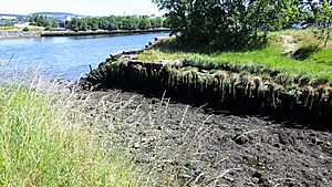 Park Quay basin, River Clyde, Erskine