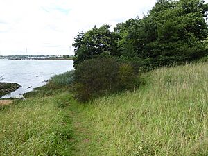Pipers Vale 2