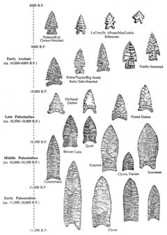 Projectile point types
