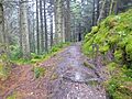 Puck's Glen 20170416 1042