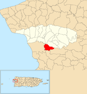 Location of Río Cañas within the municipality of Añasco shown in red