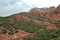 Redbeds (Kayenta Formation, Upper Triassic-Lower Jurassic) Navajo Sandstone (Lower Jurassic) (Kolob Canyons, Zion National Park, Utah, USA) (8425013742)