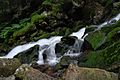 Retezat Mountain - Spring Waterfall 01