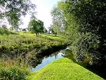 River Isbourne at Hinton on the Green - geograph.org.uk - 1479922.jpg