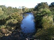 River Swale from Catterick Bridge - geograph.org.uk - 276680