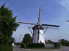 Rockanje, molen foto2 2009-05-10 12.35