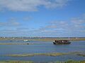 Salt marshes - geograph.org.uk - 205488