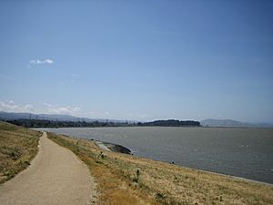 San Mateo CA Shoreline Park