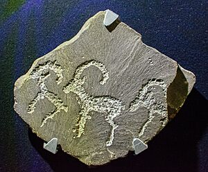 Sarmishsay (Navoi Region) Rock Art 3rd millennium BCE