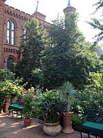 Smithsonian-haupt-garden-planters