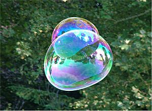 Soap Bubble - foliage background - iridescent colours - Traquair 040801