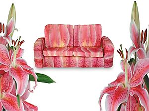 Stargazer Sofa