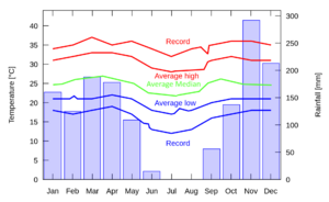 StatisticalData 1