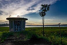 Sunset in the Democratic Republic of Congo2