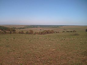 Tallgrass Prairie Preserve.jpg