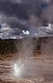 Tardy Geyser-LaRue1976