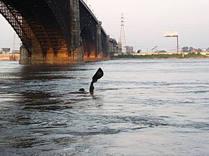 The Captains' Return statue and Eads Bridge
