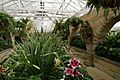 The Conservatory, Royal Tasmanian Botanical Gardens 01