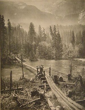 The Loggers' Bridge Suspended Over the Skykomish 1910