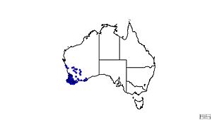 Thelymitra macrophylla map