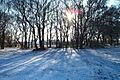 Thundersley Great Common in Winter - geograph.org.uk - 546237