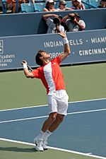 Tommy Haas serves2