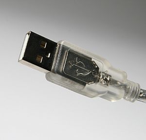 USB TypeA Plug