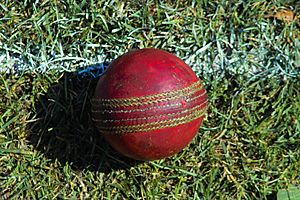 Used cricket ball