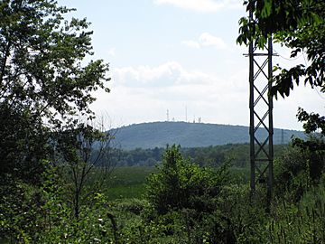View of Nobscot Hill in Framingham from Wayland MA.jpg