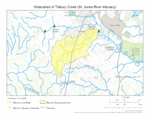 Watershed of Tidbury Creek (St. Jones River tributary)