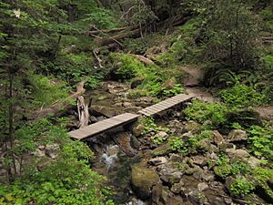 West Waddell Creek