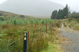 Western Way in Lettershanbally forest - geograph.org.uk - 967422
