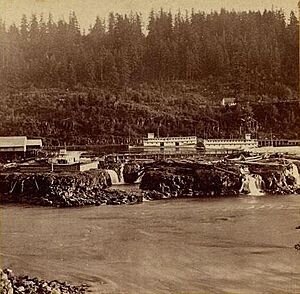Willamette Falls boat basin 1867 (Watkins 1217)