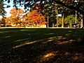 Wilshire Park (Portland, Oregon)
