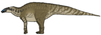 Wulagasaurus dongi.png