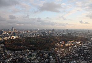 Yoyogi Park from Hyatt