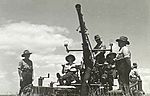 AWM063197Bofors Light AA Gun at Fort Lytton January 1944
