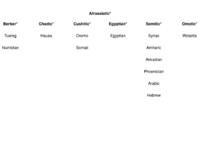 Afroasiatic 6-Family Diagram