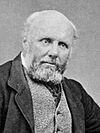 Alfred Domett c1870-1887 (3x4 cropped).jpg