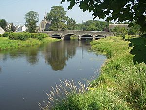 Annalee river, Butlersbridge, Cavan Aug 2003