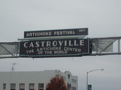 Artichoke Capitol