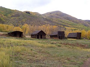 Ashcroft CO - houses