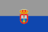 Flag of Huerta de la Obispalía