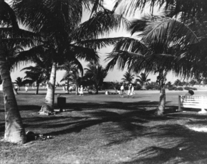 Golf course in Bayshore, 1928